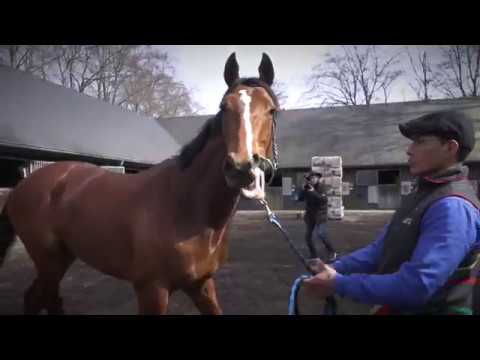 Klampenborg Galopbane Sæsonoptakt 2018 - Del 1