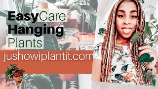 Best Hanging Indoor Plants Houseplant Tour: Easy Care Trailing Houseplants & Giveaway Announcement!