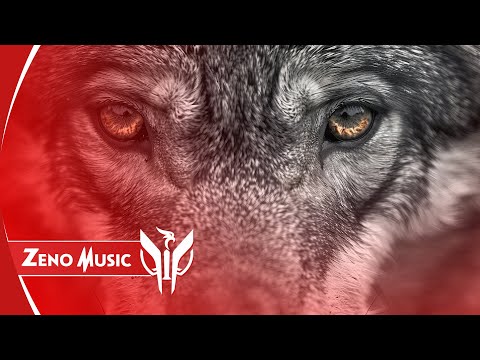 Zeno Music and Manele ETNO