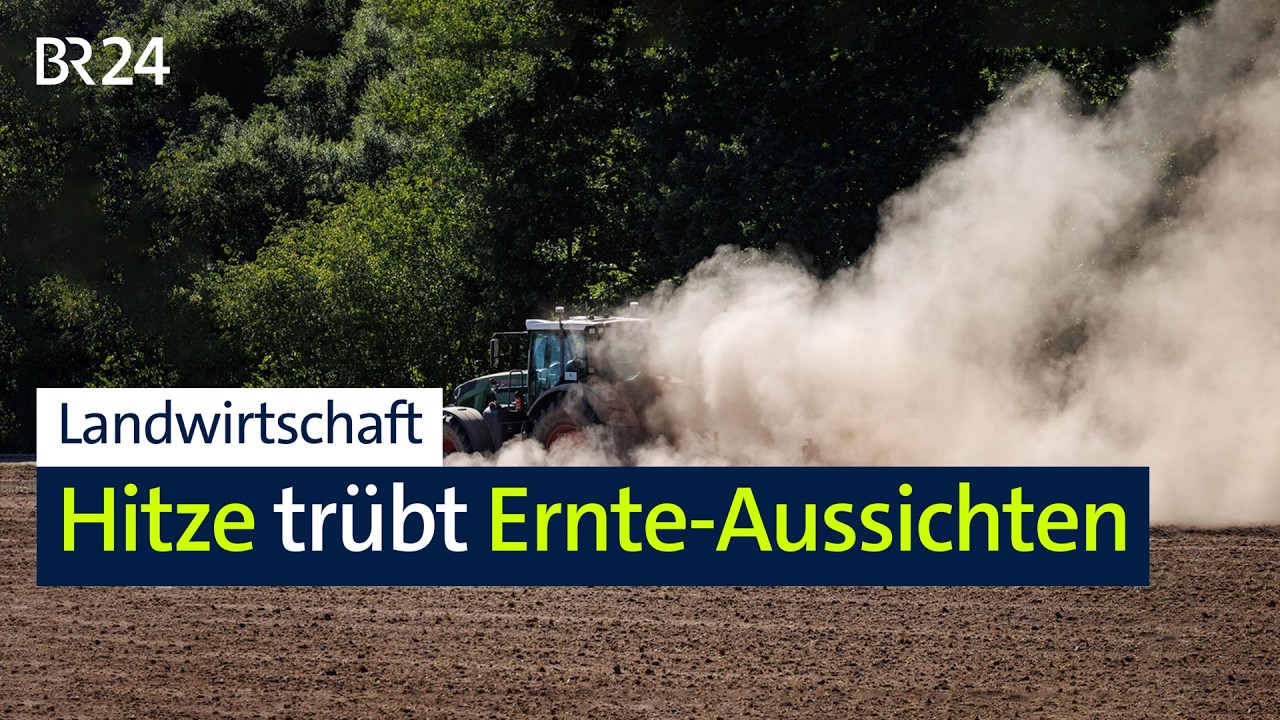Landwirtschaft: Hitze trübt Ernte-Aussichten | BR24