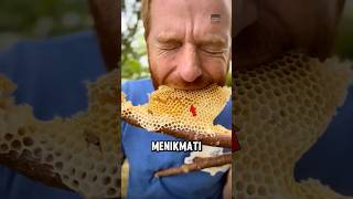 Download lagu Jangan pernah makan madu seperti ini😱 mp3 Download lagu Jangan pernah makan madu seperti ini😱 mp3