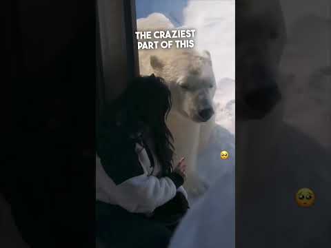 This girl became best friends with a polar bear ❤️
