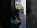 This girl became best friends with a polar bear ❤️