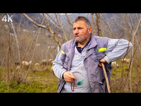 , title : 'Köyde Tek Kalan Sürü- Gahura'nın Son Çobanı | Belgesel-4K'