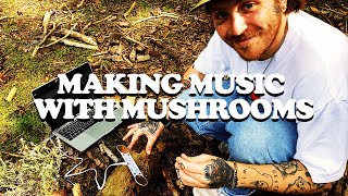 Video thumbnail for MAKING MUSIC WITH MUSHROOMS (PLAYTRONICA  - TOUCH ME REVIEW) by Finn O'Bryan
