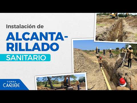 ¡Así Vamos! Tierra Caribe I febrero 2026