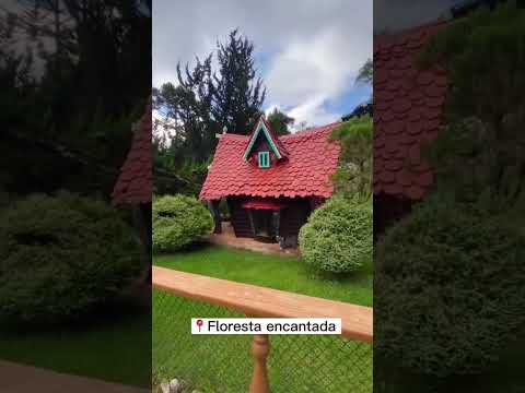 Campos do Jordão - SP ❤️ #saopaulo #camposdojordão