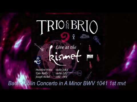 Bach: Violin Concerto in A Minor | Trio Con Brio® Live at the Kismet