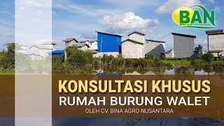 Download lagu Bedah Gedung | duniawalet.co.id mp3 Download lagu Bedah Gedung | duniawalet.co.id mp3