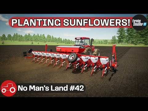 Planting Sunflowers With The New Planter, Sowing Sorghum & Oats - No Man's Land #42 FS22 Timelapse