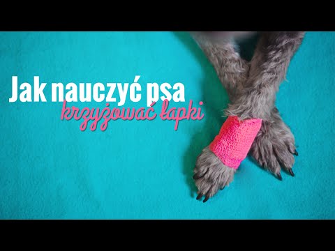 Historia medyczna koślawe kolana deformacja Palucha koślawego noc wsparcie