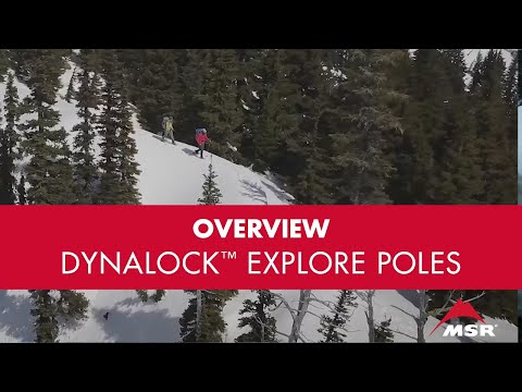 MSR DynaLock™ Explore Poles