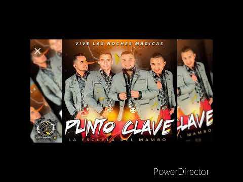 Punto Clave - No Llorare (Merengue En Vivo)  Santa Rita