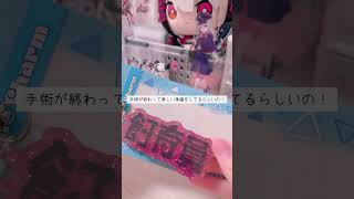 尺短くてごめんね💦#沙花叉クロヱ #グッズ #生活音 #ホロライブ #開封動画 #飼育員