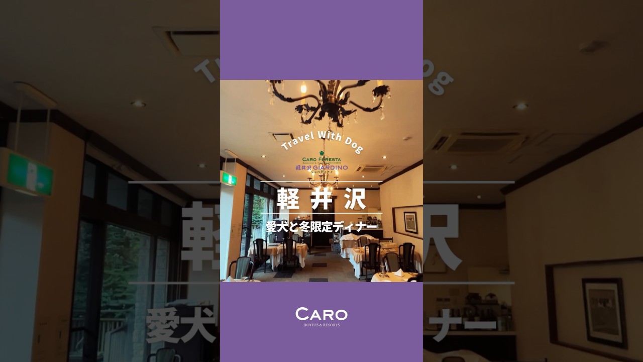 【公式】軽井沢で堪能！冬限定のイタリアン！🐶/軽井沢GIARDINO #長野 #軽井沢 #犬