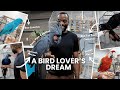 INSIDE Parrot Stars The Ultimate Parrot Store Tour Rare Exotic Birds