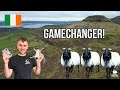 USING MY NEW DRONE TO CHECK MOUNTAIN SHEEP