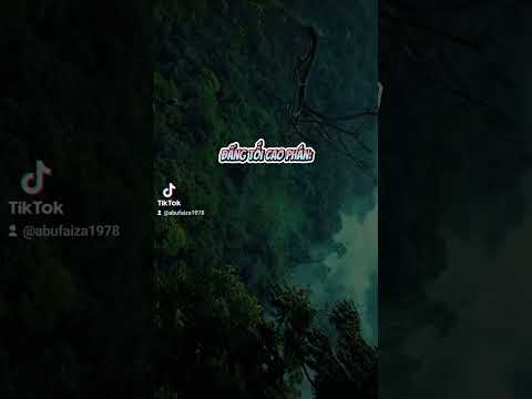 #217 NGƯỜI Ở GẦN NHỨT VỚI THIÊN SỨ TRONG THIÊN ĐÀNG LÀ NGƯỜI CÓ PHẪM CHẤT ĐẠO ĐỨC TỐT NHỨT