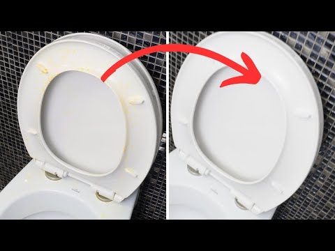 Clean yellowed toilet seats. Make toilet seats white again.
