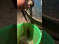 Do this to your boiler.