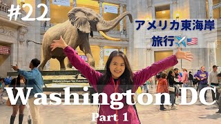 [ワシントンDC旅行 part1] スミソニアン国立自然史博物館に行ってきたよ！| 元銀行のオシャレリノベホテルが最高だった| Vlog#22