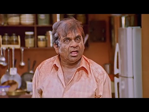 Brahmanandam Super Comedy Scene | Soggadu Telugu Movie | SP Movies Scenes