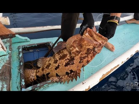 EP776-P1 - Nakahuli ng Luba sa Palanggre | Palawan