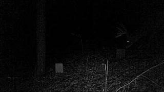 New block, cautious buck