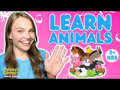 Learn Animals & Sounds with Ms Lily | Best Toddler Learning Videos | Learning Videos for Toddlers