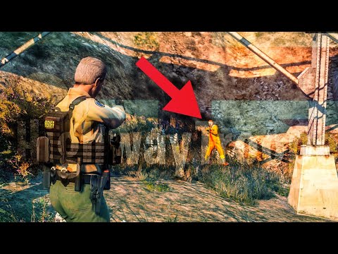 GTA 5 MODS USA POLICE | Shots fired officer Hit! LSPDFR