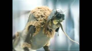 Download lagu Domestos Nomos (2007) mp3