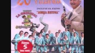 Banda El Limon  Me Caiste del Cielo