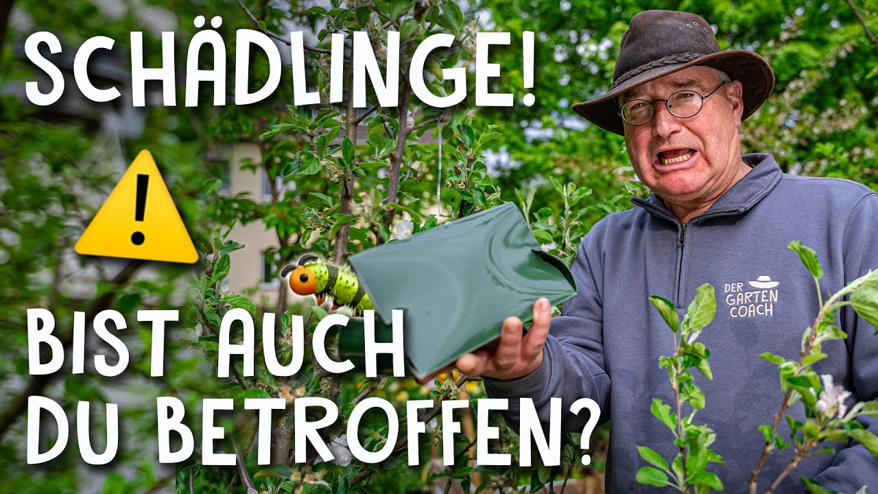Schädlinge vertreiben Video 2