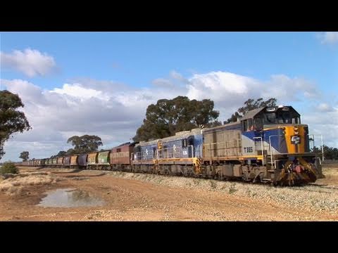 El Zorro Grain Train near Rennie.  Sat 14/05/11