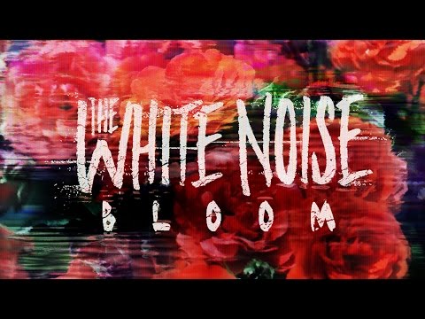 The White Noise - Bloom (Official Music Video)