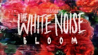 The White Noise - Bloom (Official Music Video)