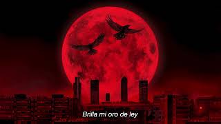 Vale Tudo Lyrics English Translation