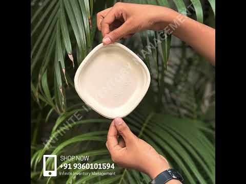 Bagasse Disposable Plate