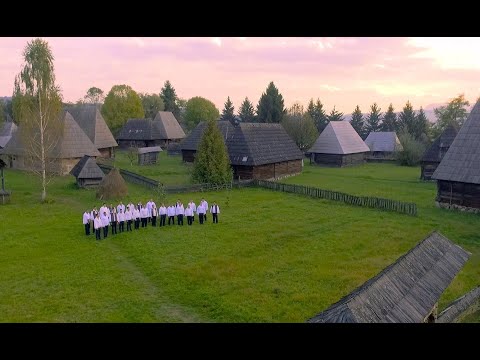 Cor Barbatesc MOISEI - "Sunt iubit"