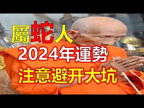 冬藏之蛇