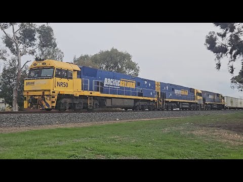 1PM6 PN up "Linfox Express #2" (NRs 50, 106, 35), Perth to Melbourne, 1700, 3/9/25, Horsham VIC 