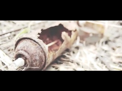 Jaclyn Gee | Beautiful Rain