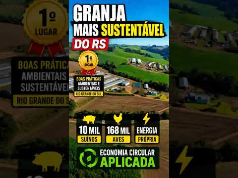 A GRANJA MAIS SUSTENTÁVEL DO RS? 🏆 | 10 MIL SUÍNOS