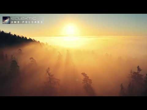 ECLEKTIC - Billion Preservers [Official Video] AmbPulsars