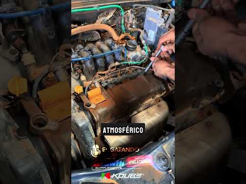 ACF fala sobre a lavagem de motor #carros #acf #mecanica