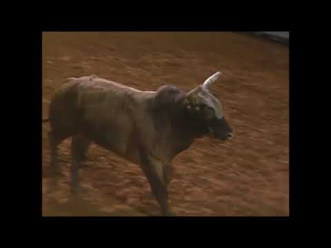 Mark Cain vs Igor - 94 PBR Irving (83 pts)