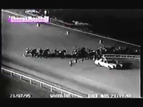 1995 Woodbine ELLAMONY Roses Are Red Final