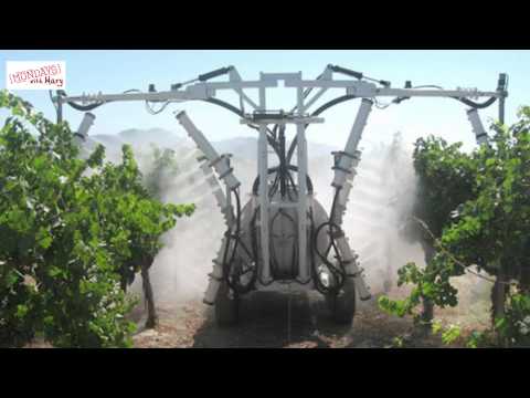 download lagu mp3 mp4 Farmers Of Wine Organic White, download lagu Farmers Of Wine Organic White gratis, unduh video klip Farmers Of Wine Organic White