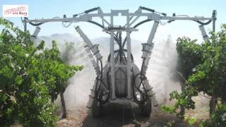 Sustainable, biodynamic and organic farming for wine | Mondays with Ma