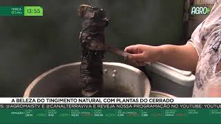 Miniatura do vídeo